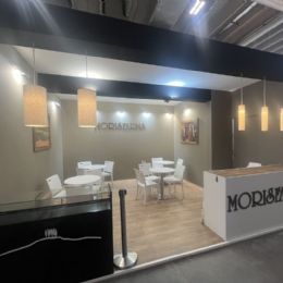 stand-verona